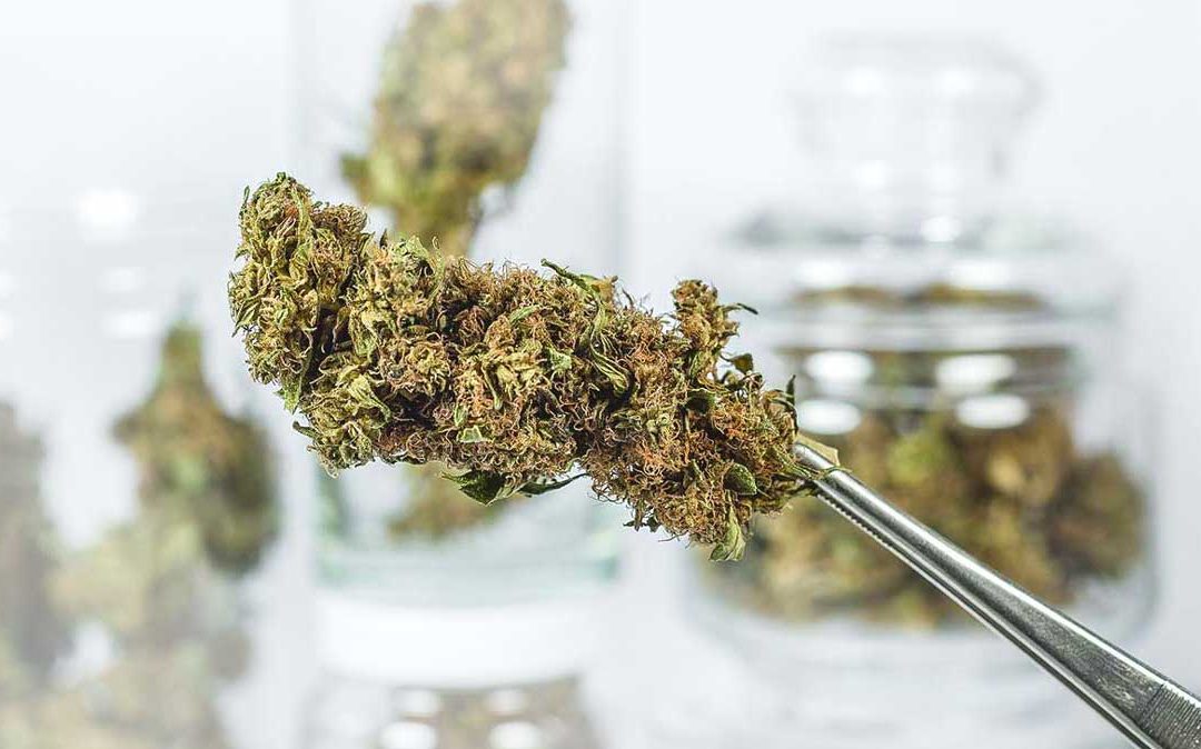 Itt van a legnépszerűbb illegális drogok listája: légy tisztában a hatásukkal!