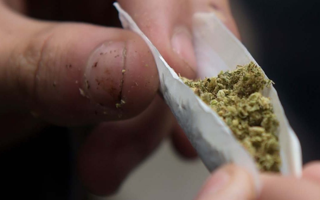 A kannabisz hatásai: marihuána és hasis