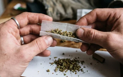 A kannabisz hatásai: marihuána és hasis