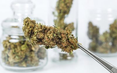 Itt van a legnépszerűbb illegális drogok listája: légy tisztában a hatásukkal!
